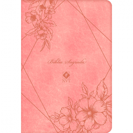 Biblia Sagrada Nvt - Luxo - Salm�o