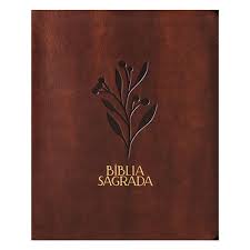 B�blia Mulheres Viviane Martinello NVT Espa�o Para Anota��es Uma Coluna Oliveira Marrom 