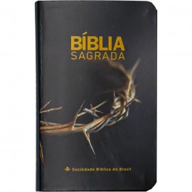 B�blia NAA Edi��o de Bolso Luxo Coroa  Ilustrada