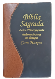 Biblia Hiper Plus Luxo Bicolor-S Com Harpa Lateral Dourada KCP