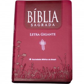 Bblia NTLH Letra Gigante - Com ndice Luxo