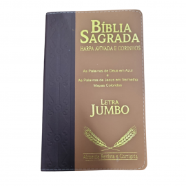 Biblia Letra Jumbo Luxo Com Harpa Bicolor RC CPP