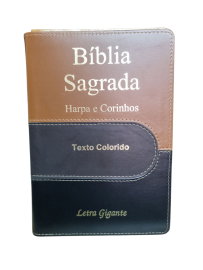 B�blia Letra Grande Ziper Lateral Dourada Tricolor Com Harpa Full Collor CPP