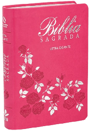 B�blia Sagrada NAA Letra Gigante Media Com �ndice Pink