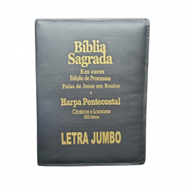 Bblia Letra jumbo Ziper lateral Pintado com Harpa KCP