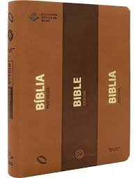 B�blia Tril�ngue - NAA/ESV/RVC Luxo Marrom