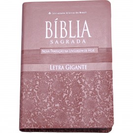 Biblia Letra Gigante Ntlh Luxo Rosa Claro Com Indice