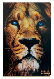 Biblia Letra Gigante A.R.C Luxo Laminada Com Harpa Le�o