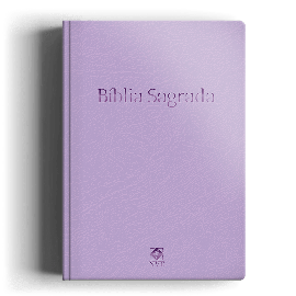 B�blia NVT Slim Roxa Capa Dura