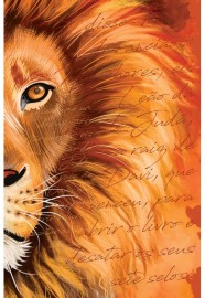 B�BLIA ACF SLIM LE�O LARANJA LETRA NORMAL