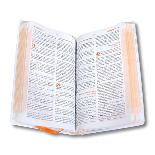 CAPU - Bíblia das Descobertas - Rosa