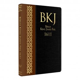 Biblia King James Ultra Slim  Fina Bicolor 1611 Bkj