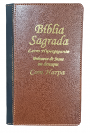 Biblia Hiper Plus Luxo Bicolor Com Harpa Lateral Dourada KCP