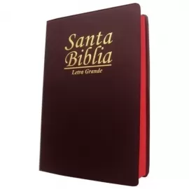 Santa Biblia letra grande vinil vinho Luxo